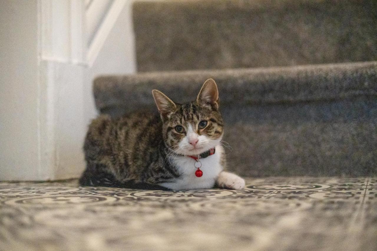 Cavendish Cat And Gaming House Appartement Blackpool Buitenkant foto